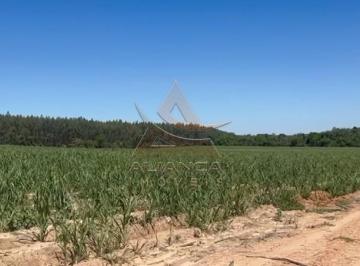 Imagem 1 · Fazenda para venda em Centro, Tambaú