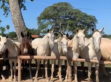 Imagem 1 · Fazenda para venda em Centro, Poconé
