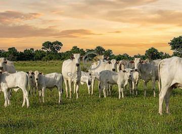Imagem 1 · Fazenda para venda em Loteamento Alphaville Cuiabá, Cuiabá