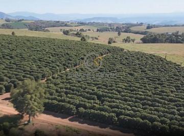 Imagem 1 · Fazenda para venda em Centro, São Sebastião do Paraíso