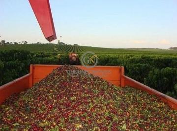 Imagem 1 · Fazenda para venda em Centro, Piumhi