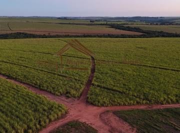Rural , São Manuel · Fazenda à venda com 114 alqueires na região de São Manuel