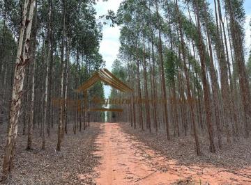 Rural , Bauru · Fazenda com 119 alqueires na região de Bauru-SP