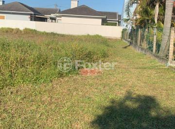 ac6b143d-c4f3-4ebd-9431-edf0ce569da8.jpg · Terreno, 300 m², em Balneário Rondinha