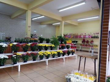 3b5dcca304b3f31256a63d5bb7ebf0752ba68d75 · Salão com 330m² - SL 210802M