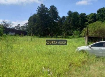 5880829e52f3a37222b9922703437ca77d697ad3 · Terreno à venda, 11000 m² por R$ 15.400.000,00 - Cidade Aracilia - Guarulhos/SP