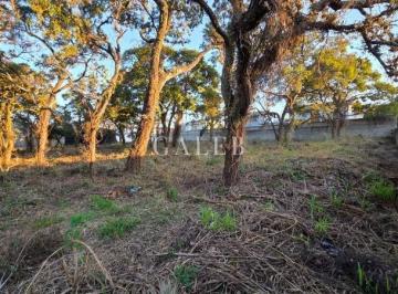 Foto 01 · Terreno à venda em Atibaia-SP na Vila Giglio com 3.616,41m² de área - Oportunidade única para invest