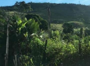 Principal - 78494 · Leil&atilde;o - Rural - De R$60.100.000,00 Por R$30.050.000,00