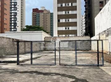 Comercial · 429m² · Terreno para alugar em Campinas, Cambuí, com 429.3 m²