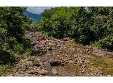 Rural · 12m² · 2 Quartos · chácara, sitio em Morretes