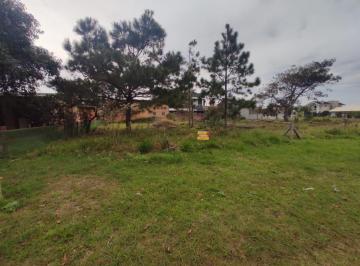 943624.jpg · Terreno - Bairro Arroio Teixeira