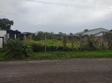 425091.jpg · Terreno - Bairro Arroio Teixeira