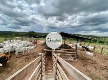 Rural , Arinos · Fazenda a venda em ARINOS / Chapada Gaúcha-MG - 1.402 Hectares - 450 HA Formados - Curral completo!