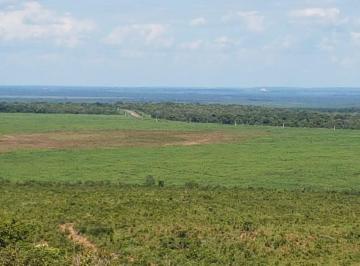 Rural · 7300m² · Fazenda no Maranhão região de Balsa MA