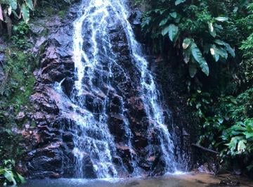 Rural , São Martinho · Áreas á venda 20.000m2 pronto para construir em São Martinho/SC.