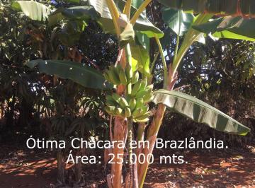 Rural de 4 quartos, Brazlândia · Chácara Brazlândia Brasília DF