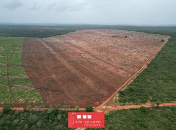 202608052221067575.jpeg · Fazenda para Venda em Araguaína, 4 dormitórios