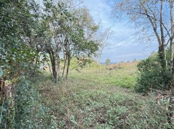 Rural , Gravataí · Chácara em Morungava 5000 metros