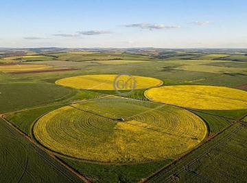Visão panorâmica dos sistemas de pivô central instalados na propriedade, garantindo controle hídrico total e safras regulares. · Fazenda de Café Irrigado à Venda em MG | 3.550 ha | R$ 300 M