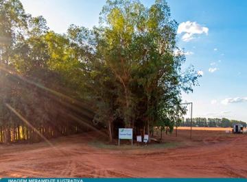 Fazenda Esperança - Imóvel Rural de 7.782 ha em Nova Mutum - MT - Foto [0] · Fazenda Esperança - Imóvel Rural de 7.782 ha em Nova Mutum - MT