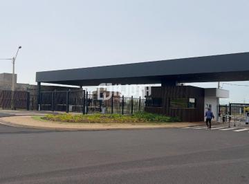 Terreno · 251m² · Terreno a venda no Complexo Eplenum com 251 m²
