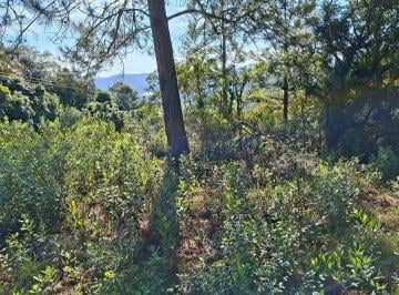 Rural · 26691m² · Área rural à venda no bairro Morungava - Gravataí/RS