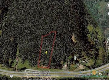 161b2a22a50a9bf34e7d075afe7a7d1a3e109b69 · Terreno Residencial à venda, Itaquaciara, Itapecerica da Serra - TE0036.