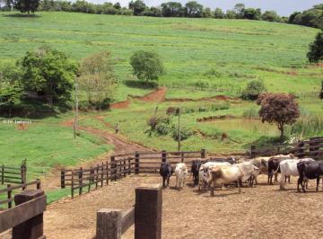 Imagem 1 · Fazenda para venda em Coronel Xavier Chaves