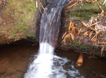 Imagem 1 · Terreno para venda em Centro, Marliéria