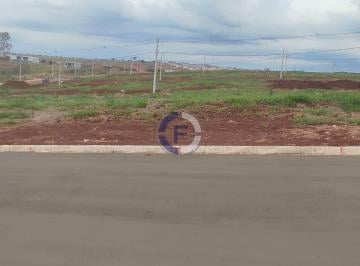 Imagem 1 · Terreno para venda em Centro, São Sebastião do Paraíso