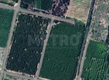 Imagem 1 · Fazenda para venda em Petrolina