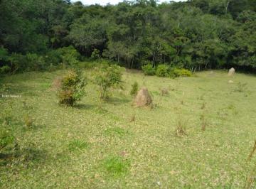 Imagem 1 · Fazenda para venda em Andrelândia