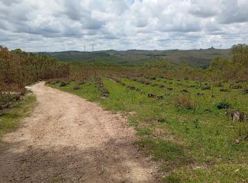 Imagem 1 · Fazenda para venda em São João Del Rei