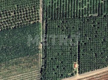 Imagem 1 · Fazenda para venda em Petrolina