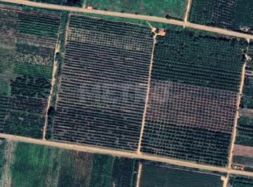 Imagem 1 · Fazenda para venda em Área Rural de Petrolina, Petrolina