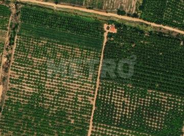 Imagem 1 · Fazenda para venda em Área Rural de Petrolina, Petrolina
