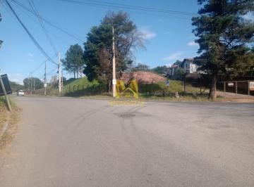 Foto 01 · Excelente oportunidade de investimento em terreno comercial na Avenida Mathias Lopes em Nazaré Pauli