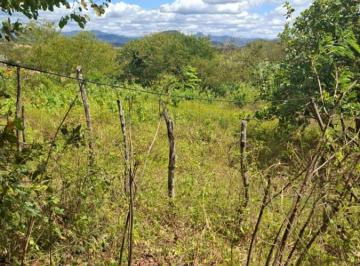 Rural de 2 quartos, Maranguape · Chácara de 25000 m² com 2 quartos à venda em Maranguape