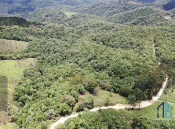 Foto 01 · Área rural a venda com área de 25,6ha em Campo Largo PR