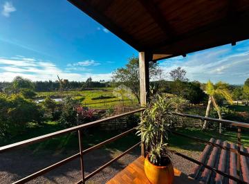 Rural · 160m² · Sítio à Venda Portão/Morro do Macaco Branco