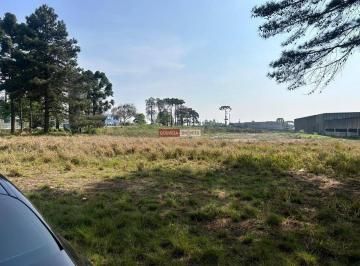 Comercial · 5000m² · Barracão, 5000M², Aluguel de R$ 100.000,00 + Taxas - Alphaville Graciosa, Pinhais (Pr)