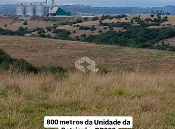 WhatsApp Image 2026-06-03 at 10.58 · Área Rural com 56 hectares para venda em Santana da Boa Vista RS