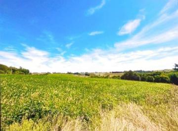 Rural · 300000m² · 1 Quarto · Chacara a Venda, 30 Hectares, Pains, Santa Maria
