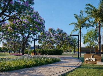 Terreno · 304m² · Terreno a venda, no Loteamento Arbo Village Park, Camobi, Santa Maria