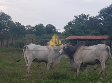 Rural · 2850000m² · 4 Quartos · Rurais à venda - em Inhaúma