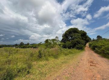Terreno · 2390m² · Terreno com 2390m² de área Bairro Diácono João Luiz Pozzobon