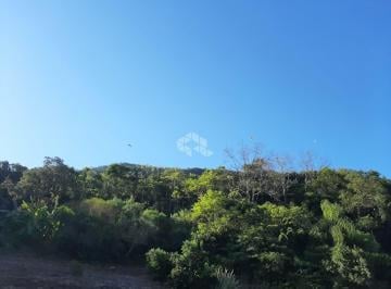 Terreno · 20000m² · Terreno no Morro do Diabo - São Vendelino