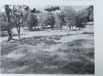 Rural · 20000m² · Chacara com 20.000 m² linha Caçador terceiro distrito
