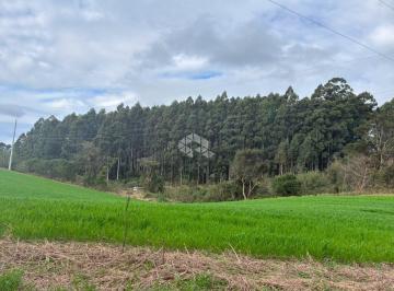 Terreno · 2700m² · 27 Hectares a venda na Rota do Sol, Carlos Barbosa