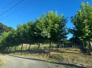 Rural · 3800m² · Sítio de 3.800mil m² Vale dos Vinhedos